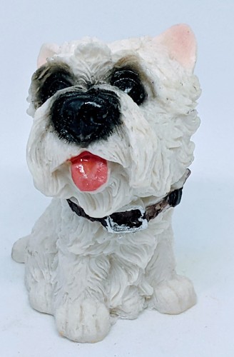 White shih tzu dog - white,