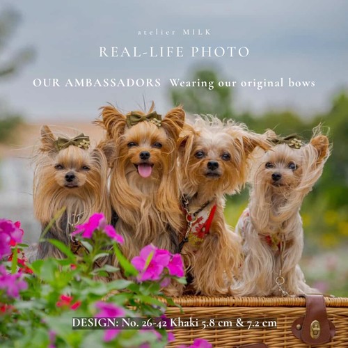 Pet hair bows - pet,