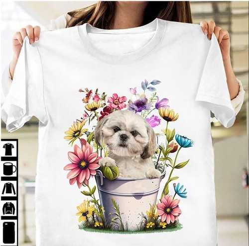 Shih tzu dog - tzu,